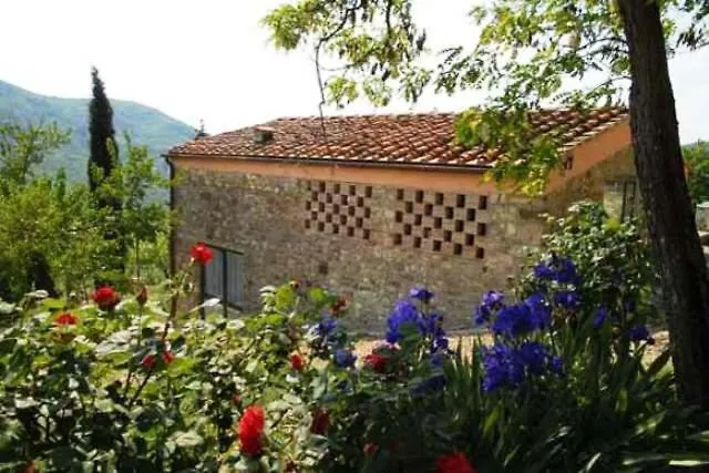 Alloggio per agriturismo Agriturismo Verde Oliva Bagno a Ripoli Italia