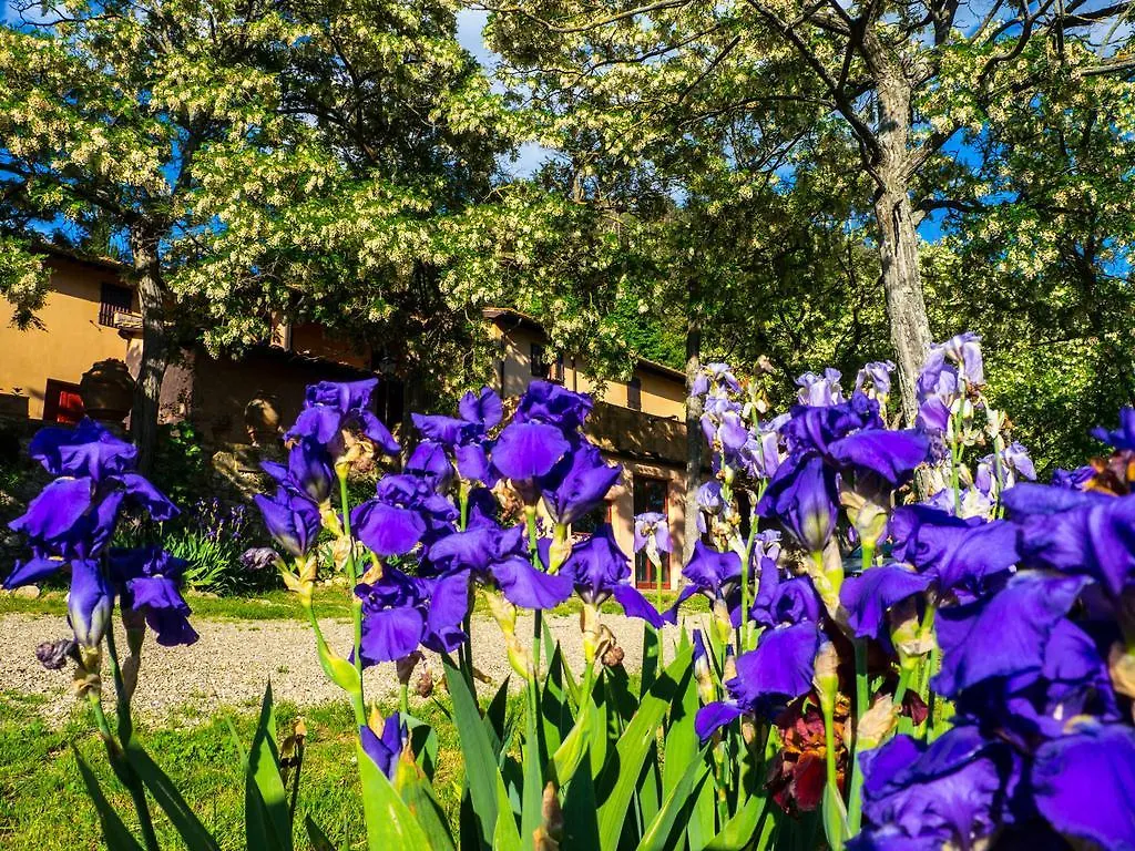 Alloggio per agriturismo Agriturismo Verde Oliva Bagno a Ripoli